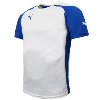 Pumaspeed Jersey Training Fitnessstudio Sport T -Shirt White - Herren