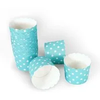 Frau WUNDERVoll Muffinform Muffin Backformen, groß Durchmesser 6,1 cm, türkis, (25-tlg)