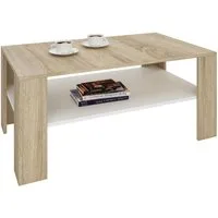 CARO-Möbel Couchtisch ANIMO, Couchtisch Wohnzimmer Beistell Sofa 100 x 60 cm in 4 Farben mit Ablage