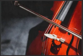 Fussmatte Cello 6263 | Größe: 60 cm x 45 cm