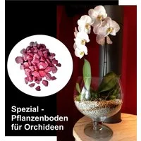 colomi Pflanzgranulat Spezial Pflanzboden für Orchideen - patentiert brombeer, 1 Liter