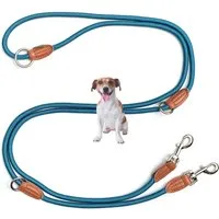 Leisegrün Hundeleine Hundeleine für kleine Hunde, 3-fach verstellbar mit 2 Karabiner, 3 m, Nylon