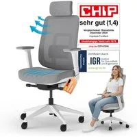 Ergotopia Bürostuhl PureBack ergonomischer Schreibtischstuhl