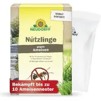 Neudorff Nematoden Nützlinge gegen Ameisen 5 Mio. SF-Nematoden, Biologische Ameisenbekämpfung, frei von chemischen Insektiziden