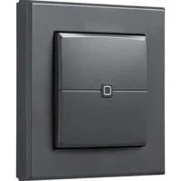 Wandtaster - 2-fach (HmIP-WRC2-A-2), Schalter anthrazit