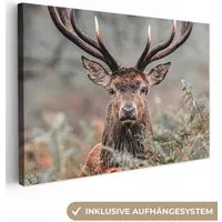 OneMillionCanvasses® Leinwandbild Hirsche - Natur - Herbst - Waldtiere, Fotodruck (1 St), Wandbild, Deko Schlafzimmer Wohnzimmer Flur 20x20 cm