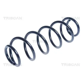 Triscan Feder hinten Seat Mii Skoda Citigo VW Up! 875029339