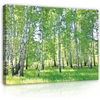 Wallarena Leinwandbild Natur - Mehrfarbig - Wohnzimmer, Mehrfarbig, 60x40x2cm