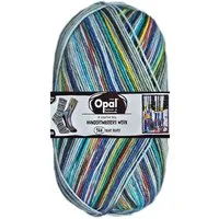 Opal 100 Gramm Opal Hundertwassers Werk Häkelwolle
