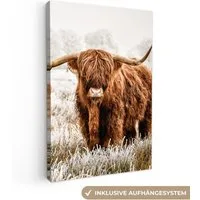 OneMillionCanvasses® Leinwandbild Schottischer Hochländer - Kuh - Natur - Winter, Fotodruck (1 St), Leinwand Canvas Wandbild, Wanddekoration 20x30 cm