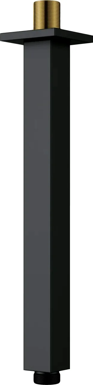 Neuesbad Serie 310 Decke Auslauf, Schwarz, 250 mm NB1DENACN48K1