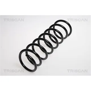 Triscan Feder hinten Mazda 3 87505057