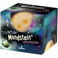 Moses. Verlag Dekosteine, schillernder Mondstein zum Ausgraben, Ausgrabungsset für Kinder