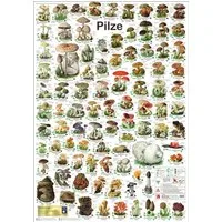 Close Up Poster Pilze Poster deutsch DIN A1 59,4 x 84,1 cm