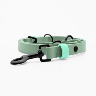THE DOG IDEA Biothane Hundeleine Sage S