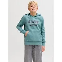 Jack & Jones Junior Kapuzensweatshirt JJELOGO SWEAT HOOD 2 COL AW25 NOOS JNR