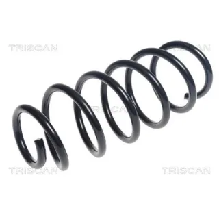 Triscan Feder vorne Chevrolet Trax Opel Mokka 875024197