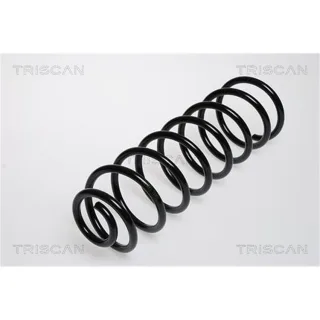 Triscan Feder hinten VW Golf 2 Jetta 87502946