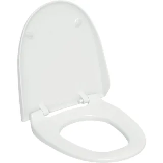 Geberit WC-Sitz und WC-Deckel pergamon zu Balena 8000 und AquaClean 8000plus 250034EP1