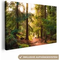 OneMillionCanvasses® Leinwandbild Wald - Weg - Bäume - Grün - Sonne - Natur, Fotodruck (1 St), Leinwand Bilder Klein, Wand Dekoration Aesthetic 30x20 cm