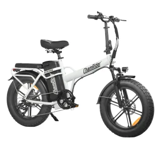 [EU DIRECT] ChamRider DTS425 Electric Bike 48V 25Ah Battery 750W Motor Recommended Top Speed 25KM/H 20*4.0inch Fat Tires