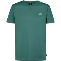 Petrol Industries T-Shirt T-Shirt Kurzarmshirt Shortsleeve (1-tlg., 1)