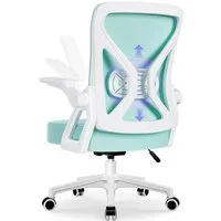 Hiazurm Bürostuhl Bürostuhl,Chefsessel aus Mesh,Ergonomischer Schreibtischstuhl (Verstellbarer Armlehnen, Lendenwirbelstütze,Drehstuhl Wippfunktion,Atmungsaktiv), Verlängerte und Verbreiterte Rückenlehne, Bis 155 kg,Schwarz