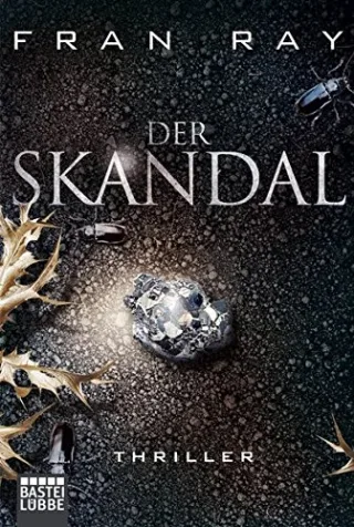 Der Skandal: Thriller (Allgemeine Reihe. Bastei Lübbe Taschenbücher)