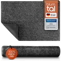 Blumtal Fußmatte Fußmatte außen & innen mit wasserdichter TPR-Rückseite, Mikrofaser Schmutzfangmatte- rutschfeste Fussmatte innen