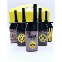 BVB Feuerzeuge 5x BVB Borussia Dortmund Lizenz Fussball Fan Artikel gelb schwarz (5-St., 5 Stück), BVB universal Stabfeuerzeug