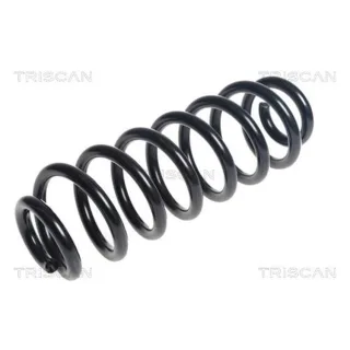 Triscan Feder hinten VW PASSAT ALLTRACK B7 B8 2,0 875029456