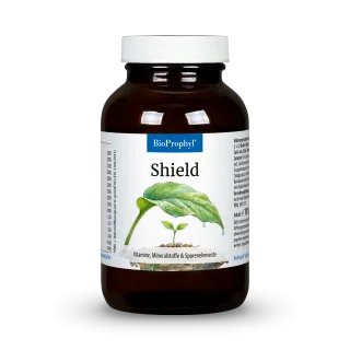 Shield