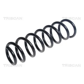 Triscan Feder vorne BMW 5er F07 Gran Turismo 875011234