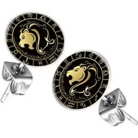 Taffstyle Ohrstecker-Set Ohrringe Sternzeichen Tierkreiszeichen Ohrstecker Motiv Chirurgenstahl (Runde Sternzeichen Ohrstecker für Damen und Herren in 12 Motiven), Runde Platte Lustig Löwe Motiv Damen Herren Klein Rund