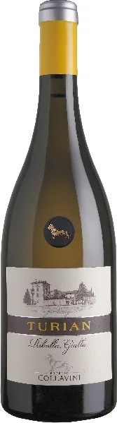 Collavini Eugenio Turian Ribolla Gialla Friuli Colli Orientali DOC Jg.