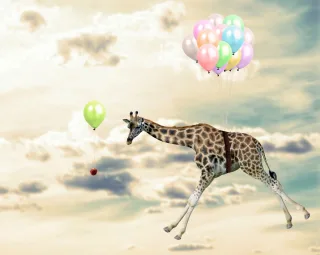 queence Acrylglasbild "fliegende Giraffe" Giraffe  Giraffen  Giraffen Bilder  Himmel  Himmelsbilder  Luftballon  Tiere Fine Art-Print in Galeriequalität