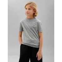 Calvin Klein Jeans T-Shirt MINI BADGE REGULAR T-SHIRT Regular fit, Badge