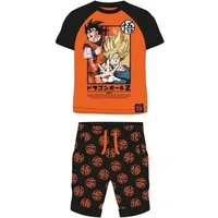 Dragon Ball Shirt & Hose Dragon Ball Z Bekleidungsset für Jungen Shirt & Hose, Größe 122-152 (Set, 2-tlg., Kurzärmeliges T-Shirt mit halblanger Hose)