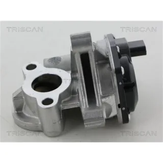 Triscan AGR-Ventil Mercedes Opel Renault