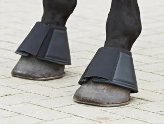 Glocken BU Comfort