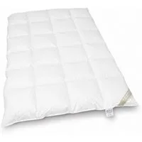 Betten Hofmann 4-Jahreszeitenbett Betten Hofmann Canada Kassetten Daunenbett 4x6 155x220 1200 g Daunen, Füllung: 100% Daunen, Bezug: 100% Baumwolle, Bestseller, hergestellt in Deutschland, hypoallergen
