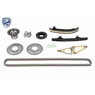 Vaico Steuerkettensatz Citroen Fiat Ford Land Rover Peugeot 2,2