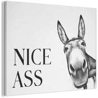 MuchoWow Gemälde Zitat - Esel - Dieren - Nice ass - Sprüche, Fotodruck (1 St), Akustikpaneele PET-Filz, Akustikbild, Schalldämmung, Deko 40x30 cm