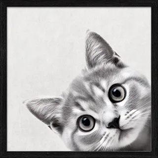 Gerahmtes Bild FUNNY CAT II