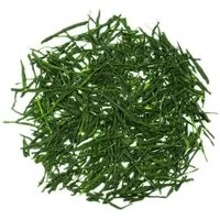 tea exclusive Tee Gyokuro Uji Finest BIO, Japanischer Grüner Tee, 50g, Vollmundig-edel, lieblich und sanft.