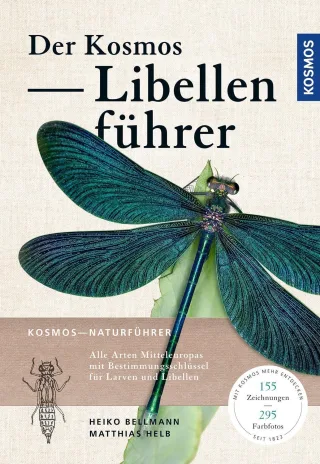 Der Kosmos Libellenführer: Alle Arten Mitteleuropas mit Bestimmungsschlüssel für Larven und Libellen