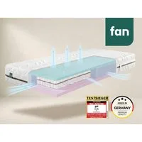 Taschenfederkernmatratze fan Flex Side Clima T, Matratze 90x200 cm, 140x200 cm & mehr, in H2/H3, fan, 24 cm hoch, Wendematratze mit Aero-System,1034 Federn (bei 100x 200 cm)