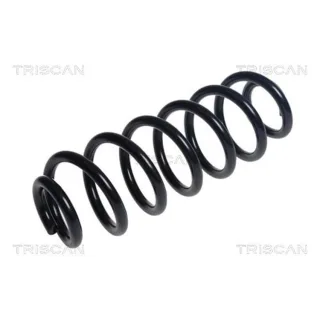 Triscan Feder hinten VW Passat B8
