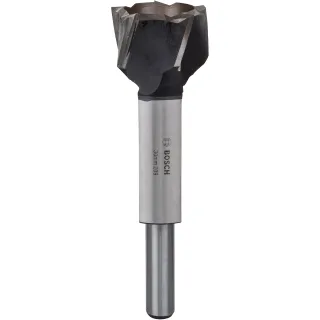 Bosch Scheibenschneider, 10 mm, 140 mm - 2608585747