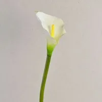 Kunstblume Kunst Calla, weiß, natürlich anfühlend, 70cm, 8x12cm Calla, artplants, Höhe 70.0 cm